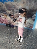 Virtualios realybės akiniai 2023_3